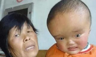 石家庄奶粉批发 石家庄奶粉批发