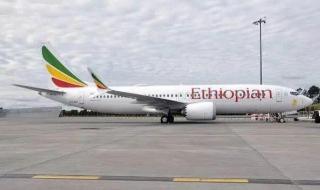 坠毁客机黑匣子找到