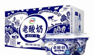 伊利老酸奶 伊利老酸奶