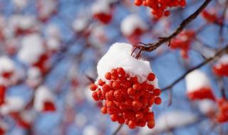 夜雪无声第十层攻略 夜雪无声第十层攻略